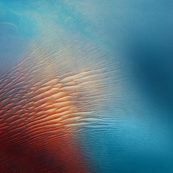 Meet your Posher, Fidelina - Picture 1 of 1